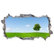 Vinilos agujero 3d árbol en la pradera