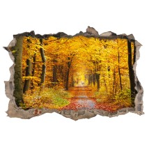 Vinilos agujero 3d paseo árboles en otoño