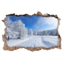Vinilos agujero3d naturaleza nevada