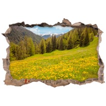 Vinilos agujero 3d campo tures italia