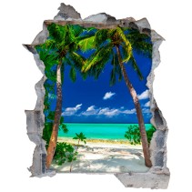 Vinilos agujero 3d palmeras big lagoon filipinas