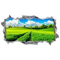 Vinilos agujero 3d paisaje campo