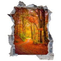 Vinilos agujero 3d carretera con árboles en otoño
