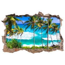 Vinilos agujeros 3d playas sri lanka