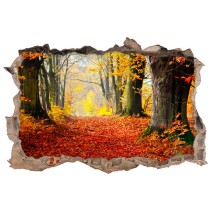 Vinilos agujero 3d camino árboles en otoño