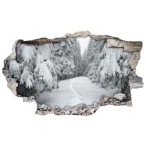 Vinilo agujero 3d paisaje nevado montes cárpatos
