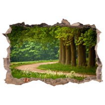 Vinilos agujero 3d camino y árboles en el bosque