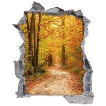 Vinilos agujero 3d camino en la naturaleza