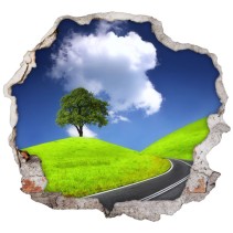 Vinilos y pegatinas agujero 3d árbol y carretera