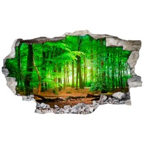 Vinilos agujero 3d árboles en bosque frondoso