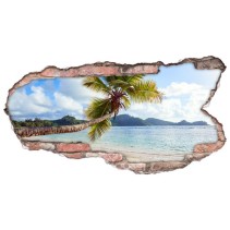 Vinilos paisaje palmera islas seychelles agujero 3d