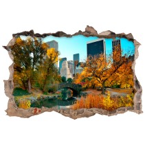 Vinilos agujero 3d central park new york