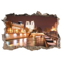 Vinilos agujero 3d catedral notre dame parís francia