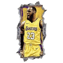 Vinilos agujero 3d baloncesto lebron james nba