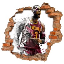 Vinilos agujero 3d basketball lebron james nba