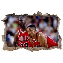 Vinilos agujeros 3d michael jordan scottie pippen chicago