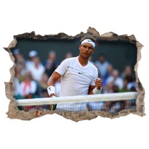 Vinilos agujero pared 3d tenis rafa nadal