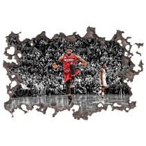 Vinilos agujero 3d lebron james miami heat nba