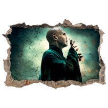 Vinilos agujero 3d voldemort película harry potter y la piedra filosofal