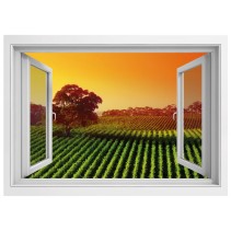 Vinilos ventana 3d atardecer en el viñedo