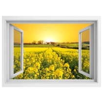Vinilos ventana 3d atardecer en un campo de flores