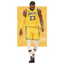 Vinilos y pegatinas lebron james