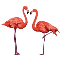 Vinilos decorativos pareja de flamingos