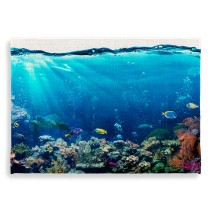 Alfombra peces y tortuga en el arrecife (medidas 70 x 50 cm)