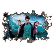 Vinilo agujero 3d pelicula harry potter