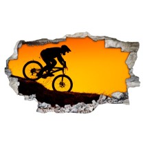 Vinilos agujero 3d bicicleta montaña al atardecer