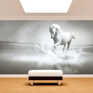 Fotomural caballo blanco galopando