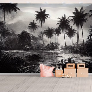 Fotomural o papel pintado paisaje tropical blanco y negro