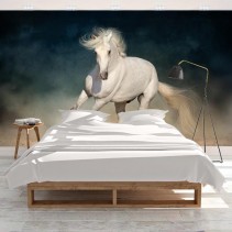 Fotomural o papel pintado caballo blanco