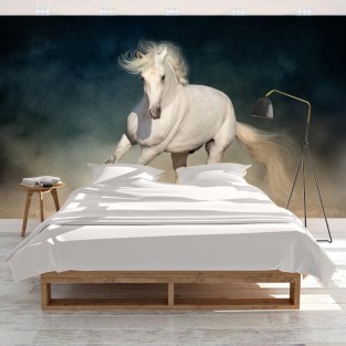 Fotomural o papel pintado caballo blanco