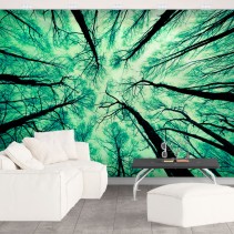 Fotomural o papel pintado de contrapicado árboles bosque