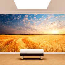 Fotomural atardeceres en campo de trigo