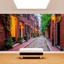 Fotomural o papel pintado calles ciudad boston