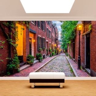 Fotomural o papel pintado calles ciudad boston
