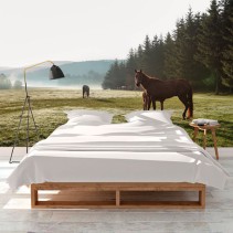 Fotomural caballos en el campo