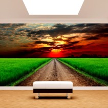 Fotomural o papel pintado carretera en el campo