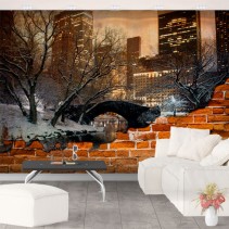 Fotomural o papel pintado central park nueva york efecto pared rota