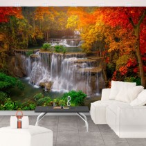Papel pintado paisaje con cascadas y árboles en otoño