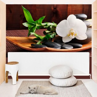 Fotomural o papel pintado flor ambiente zen Fotomural o papel pintado flor ambiente zen