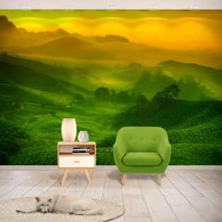 Fotomural o papel pintado plantación de té malasia