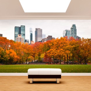Fotomural o papel pintado central park nueva york