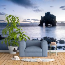 Fotomural roca dinosaurio hvítserkur islandia