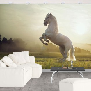Fotomural vinilo caballo blanco Fotomural vinilo caballo blanco