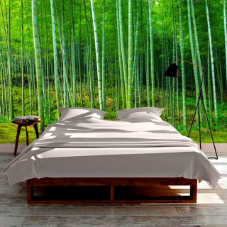 Papel pintado o fotomural bosque bambú zen