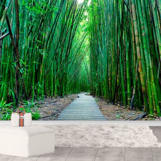 Papel pintado o fotomural paisaje camino bosque bambú