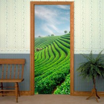 Vinilos y pegatinas puertas plantación de té